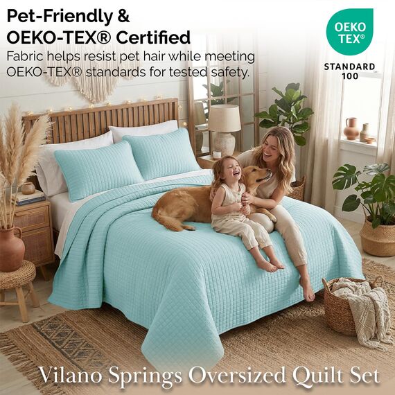 Southshore Fine Living, Inc. Hochwertiges, weiches, knitterfreies und lichtbeständiges Bettwäsche-Set, übergroßes Bettbezug-Set mit 1 Bettwäsche-Set und 2 Kissenbezügen, blau, Full/Queensize-Bett