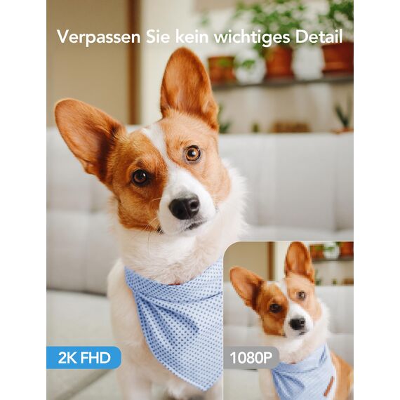 GNCC Überwachungskamera Innen - 2K Kamera Überwachung Innen, 360° WLANkamera Indoor Hundekamera mit APP, Babyphone mit Kamera, Zwei-Wege-Audio, Bewegungserkennung, Nachtsicht, kompatibel mit Alexa