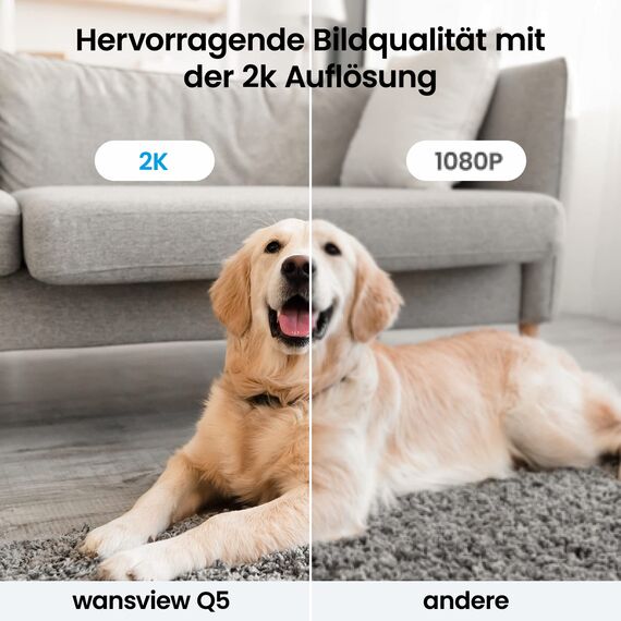 wansview 2K Hundekamera mit app - 2,4Ghz Überwachungskamera innen, Haustierkamera mit app, Hundekamera Nachtsicht, Kamera Hundeüberwachung mit Bewegungserkennung, 2-Wege-Audio, Q5