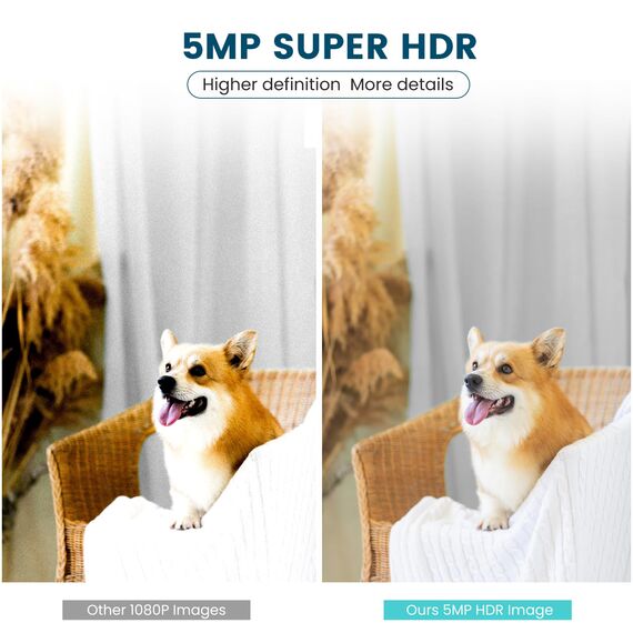 litokam Überwachungskamera Innen, Babyphone mit Kamera 2.4/5ghz Dual-Band WLAN Hundekamera mit app, 5MP Kamera überwachung innen mit AI Bewegungserkennung, Pan/Tilt, Zoom, Kompatibel mit Alexa