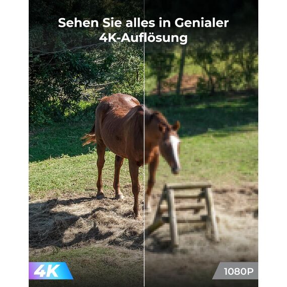 Reolink 4K 3G/4G LTE Überwachungskamera mit SIM Karte, 355°&140° PTZ Solar Kamera Outdoor mit 8MP Farbnachtsicht, Person/Auto/Haustiererkennung, 32GB microSD-Karte, Go PT Ultra+6W Solarpanel