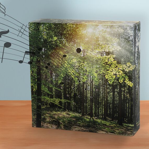 Soundbox 'Wald' Bewegungssensor | 12x12x3,5cm Pappe Kunststoff | Vogelgezwitscher Lautstärke regulierbar (1 x Soundbox Wald)