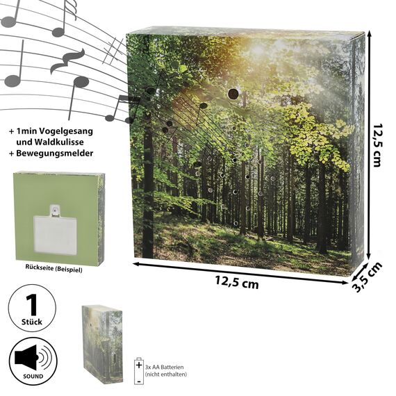 Soundbox 'Wald' Bewegungssensor | 12x12x3,5cm Pappe Kunststoff | Vogelgezwitscher Lautstärke regulierbar (1 x Soundbox Wald)