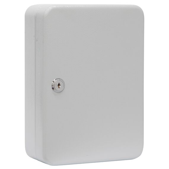 ARREGUI PLL60 Schlüsselschrank | Schlüsselkasten | Schlüsselbox aus lackiertem Stahl | Abschließbar mit 60 Haken und Schlüsselschloss | inkl. 60 beschriftbare Schlüsselanhänger | 25x18x8 cm | Grau
