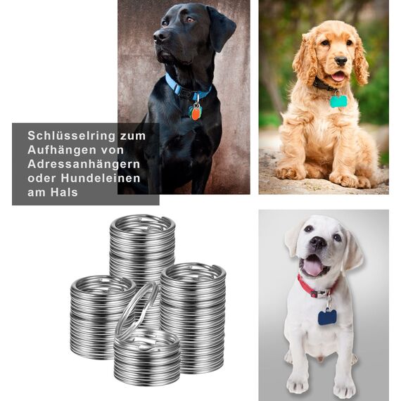 Schlüsselringe, 100 Stücke Schlüsselringe Edelstahl, Schlüsselringe 25mm Metall Spalt Ringe für Schlüsselanhänger Basteln, Auto, Haus, Schlüssel Zubehör