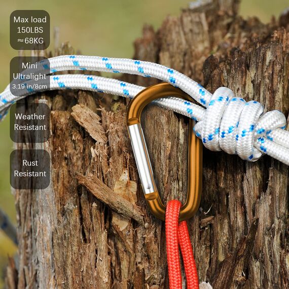 Sprookber 3" Aluminium Karabiner D-Ring - karabinerhaken Clips mit Federschnapphaken für Schlüsselanhänger Clip - 10 Stücke
