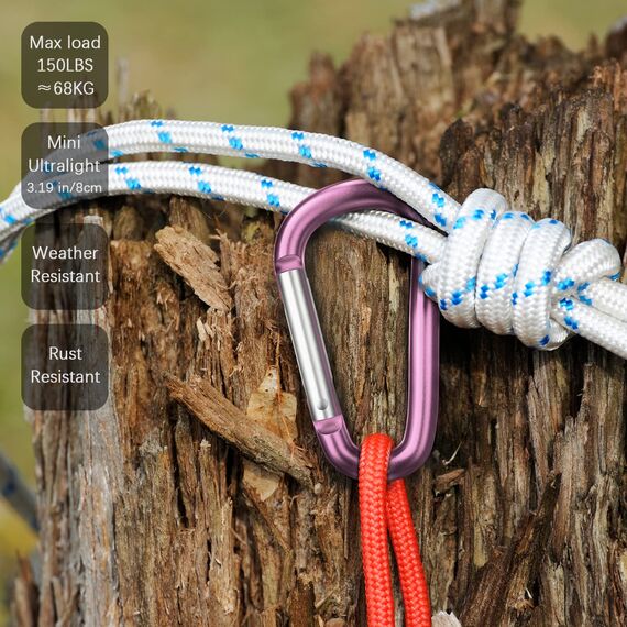 Sprookber 3" Aluminium Karabiner D-Ring - karabinerhaken Clips mit Federschnapphaken für Schlüsselanhänger Clip - 10 Stücke