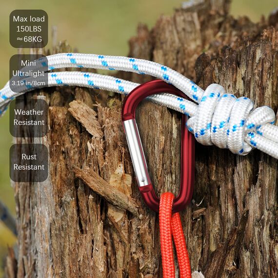 Sprookber 3" Aluminium Karabiner D-Ring - karabinerhaken Clips mit Federschnapphaken für Schlüsselanhänger Clip - 10 Stücke