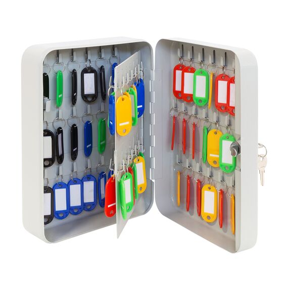ARREGUI PLL60 Schlüsselschrank | Schlüsselkasten | Schlüsselbox aus lackiertem Stahl | Abschließbar mit 60 Haken und Schlüsselschloss | inkl. 60 beschriftbare Schlüsselanhänger | 25x18x8 cm | Grau