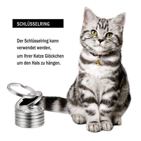 100 Stück Edelstahl Schlüsselanhänger - 20mm Metallringe für DIY Auto Haus und Schlüsselzubehör