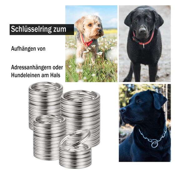 100 Stück Edelstahl Schlüsselanhänger - 20mm Metallringe für DIY Auto Haus und Schlüsselzubehör