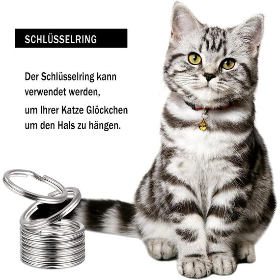 100 Stück Edelstahl Schlüsselanhänger Metallringe für Schlüsselanhänger DIY Auto Haus Zubehör (25mm)