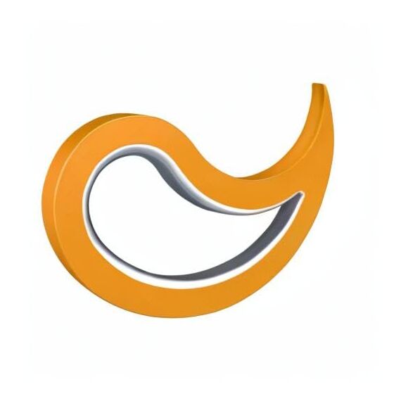 Stoppy, Stoppi, Fensterstopper, Türstopper, Türkeil, Türhaken, Fensterklammer, 2er Set (erhältlich in 14 Farben) (orange)