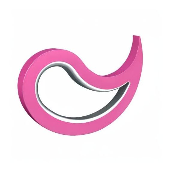 Stoppy, Stoppi, Fensterstopper, Türstopper, Türkeil, Türhaken, Fensterklammer, 2er Set (erhältlich in 14 Farben) (pink)