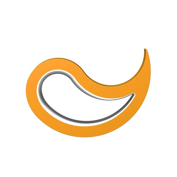 Stoppy, Stoppi, Fensterstopper, Türstopper, Türkeil, Türhaken, Fensterklammer, 2er Set (erhältlich in 14 Farben) (orange)