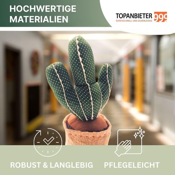 TOPANBIETER 999 Dekorativer Türstopper Kaktus Türhalter Fensterpuffer Bodenstopper (Kaktus)