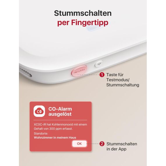 X-Sense Smart Kohlenmonoxid Melder XC0C-iR, TÜV Rheinland Zertifiziert, Stummschaltung per App, CO Melder mit LCD-Digitalanzeige, Kohlenmonoxidmelder mit austauschbarer Batterie, 1 Stück
