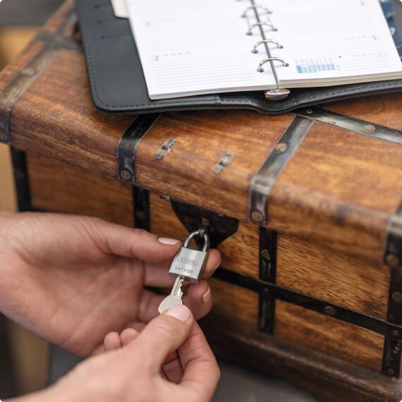 ABUS Vorhängeschloss Titalium 64TI/20 gl.-6205 - gleichschließend - Schlosskörper aus Spezial-Aluminium - gehärteter Stahlbügel - ABUS-Sicherheitslevel 3 - Silber