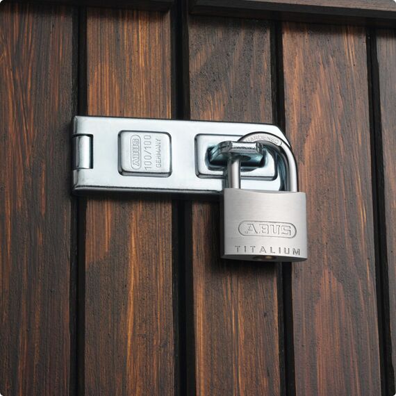 ABUS Vorhängeschloss Titalium 64TI/30 - 2er Set, gleichschließend - Kellerschloss mit Schlosskörper aus Spezial-Aluminium - gehärteter Stahlbügel - ABUS-Sicherheitslevel 4