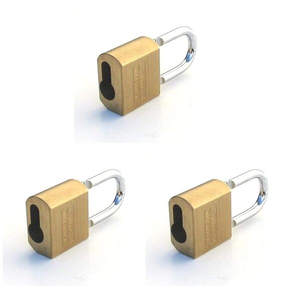Burg-Wächter Vorhangschloss, Vorhängeschloss für Profil-Halbzylinder, 8 mm Bügelstärke, Massives Messingschloss, Bügel stahlhart, Doppelt verriegelt, Profi 116 PC 50 (Packung mit 3)
