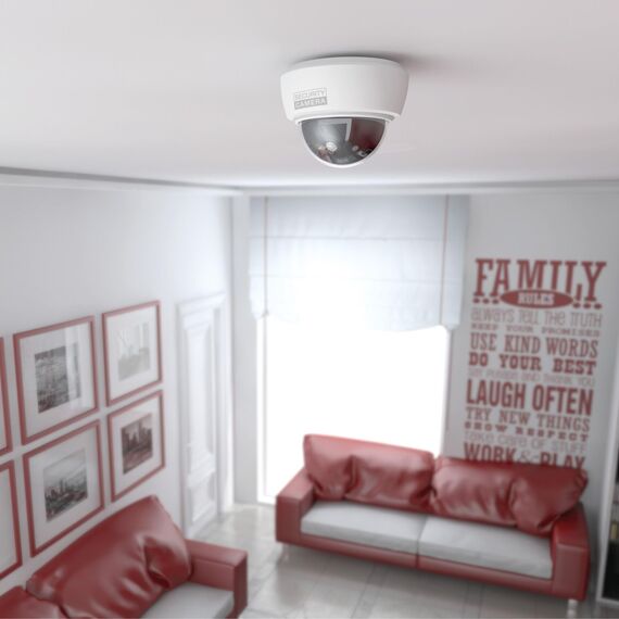 BASI | Dome Kamera-Attrappe mit blinkendem LED-Licht | Dummy Kamera | Objektiv Überwachungskamera für den Innen- und geschützten Außenbereich | Wand- Deckenmontage | Weiß | CCTV