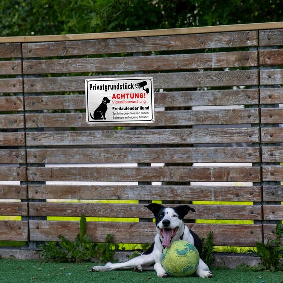 TAKULA Freilaufender Hund Schild- Videouberwachung Privatgrundstuck,30 * 20CM Hier Wache ich Hund Schild,Selbstklebende Warnschilder mit Selbstbohrenden Löchern