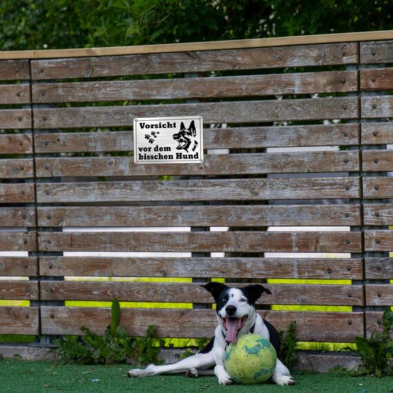 TAKULA 22 * 15CM Warnschilder - Vorsicht Bissiger Hund Schild, Metallschild mit Selbstklebenden und Vorgebohrten Löchern, 2er - Pack Warnung vor dem Hunde Schilder