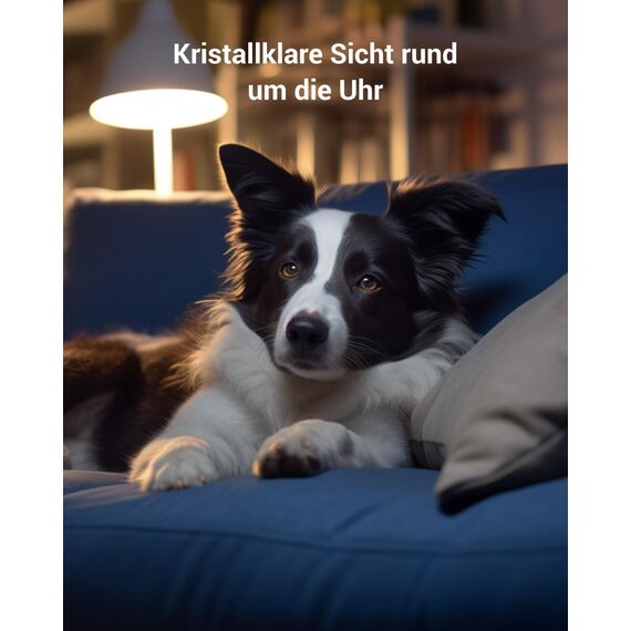 BoyKeep 2.4G/5GHz Überwachungskamera Innen 2K, 360° WLAN Überwachungskamera, Indoor Hundekamera mit APP, Babyphone mit Kamera mit Bewegungserkennung, Nachtsicht, 12s Kostenloser Cloud -Speicher