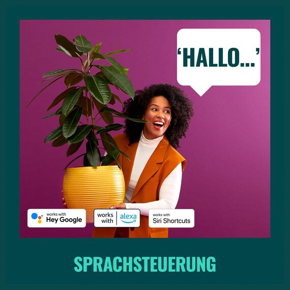 WiZ Smart Plug, Typ F, 230 V, einfache Einrichtung, Standardstecker, intelligente Steuerung, Sprachbefehle, mit Leistungsmesser, 1er-Pack