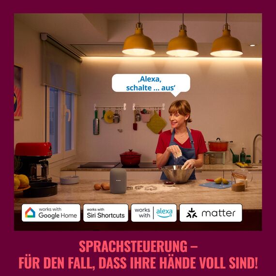WiZ WLAN-Smart-Stecker, Typ F, 230V, 50 Hz,einfache Einrichtung,Matter-zertifiziert,intelligente Steuerung,Sprachbefehle, kompatibel mit Alexa, Google Home und Apple Home,ohne Leistungsmesser,2er-Pack
