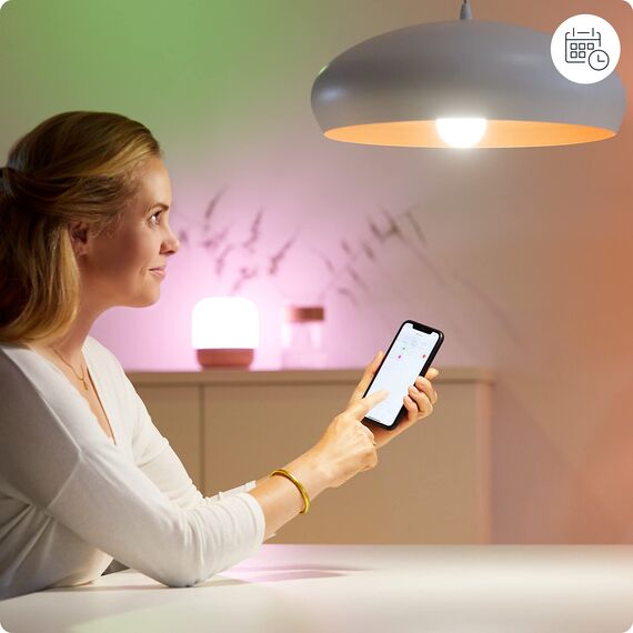 WiZ Smart Plug, Typ F, 230 V, einfache Einrichtung, Standardstecker, intelligente Steuerung, Sprachbefehle, ohne Leistungsmesser, 1er-Pack