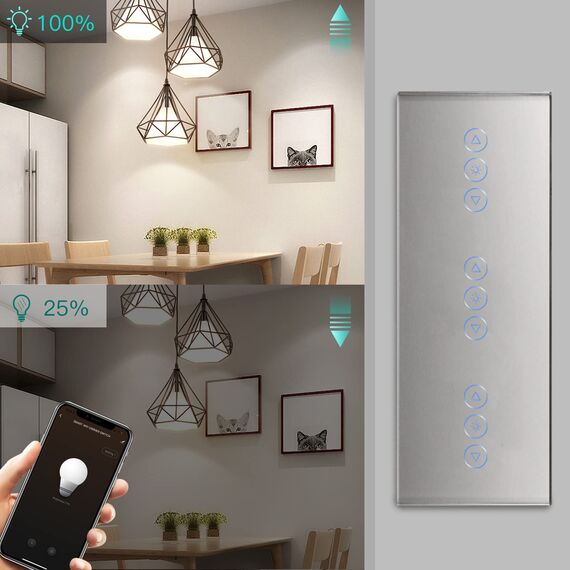BSEED Smart Alexa 3 Fach Dimmer Lichtschalter,Kompatibel mit Tuya/Google Home/SAMRT LIFE Weiß,Verdreifachen Dimmerschalter mit Touch Panel Grau,APP Fernbedienung und Timer Funktion