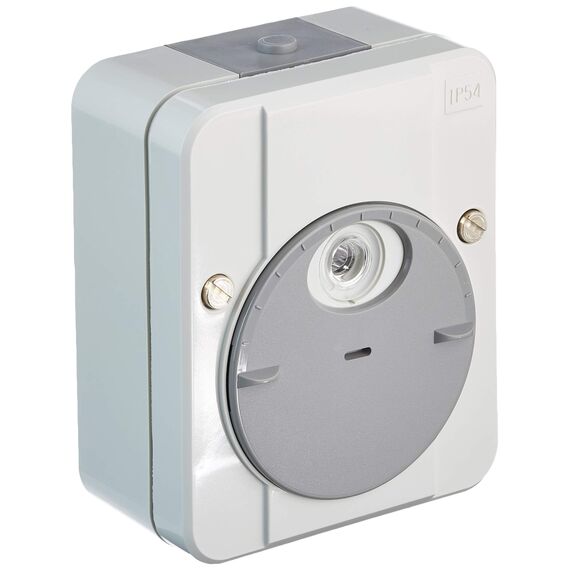 Schneider Electric Merten Dämmerungsschalter ohne Schaltverzögerung, Argus, lichtgrau, Artikelnummer 544829