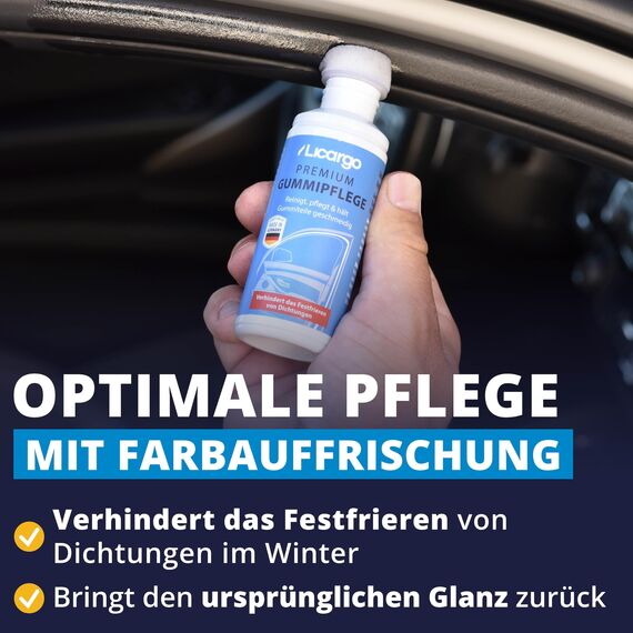 LICARGO WinterKomfort Set 3-teilig - Klare Sicht & zuverlässiger Frostschutz für den Winter - Luftentfeuchter gegen Beschlag, 67 cm Eiskratzer mit Schneebesen & Gummipflege für geschützte Dichtungen