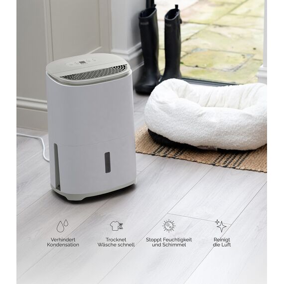 MeacoDry Arete One 6L Luftentfeuchter & Luftreiniger | Kompakt, Sehr leise mit 32 dB | Idealer Luftentfeuchter für Schlafzimmer, Kleine Räume & Wohnungen | H13 HEPA-Filter | 1,8L Tank