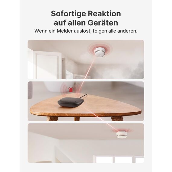 X-Sense Basisstation für intelligentes Haus, kompaktes Alarmsystem-Hub, WLAN, 2,4 GHz erforderlich, Überwachung und Fernsteuerung, SBS50, Schwarz