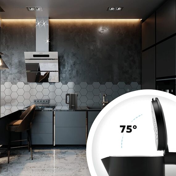 Balter Edelstahl Wasserkocher mit Temperatureinstellung, 40°C-100°C, Doppelwand, BPA frei, elektrischer Wasserkocher, Teekocher Kompakt, 1,7L, 2200W, leise, Schwarz