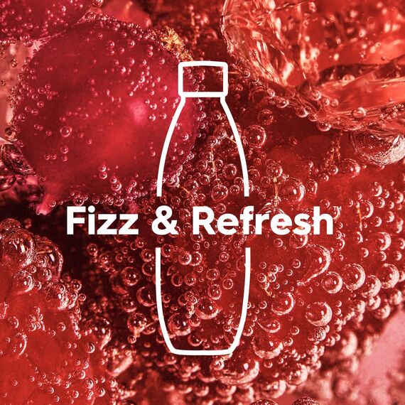 sodastream 1L FUSE Kunststoffflasche | mit Edelstahl-Elementen | BPA-frei | Kompatibel mit DUO, E-DUO, POWER, EASY, EASY ONE TOUCH, SOURCE, PLAY, TERRA, ART | Spülmaschinengeeignet | 1er-Pack
