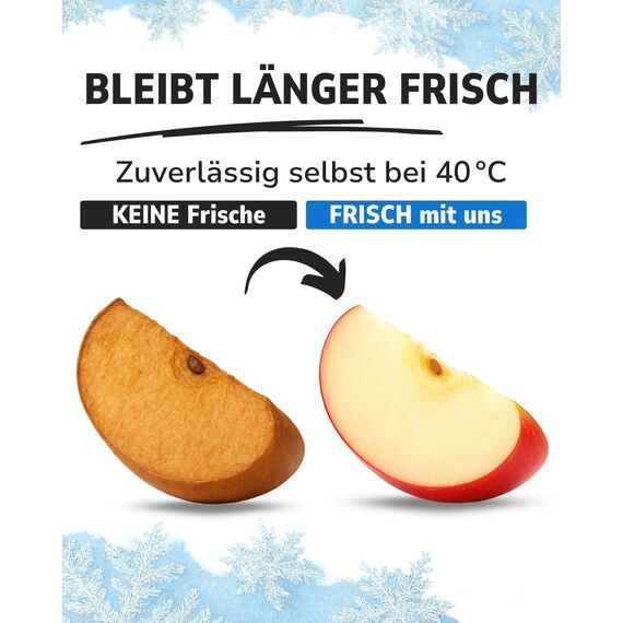 ToCi 3er Set Kleine Kühlakkus | Mini Kühl-Elemente für die Kühltasche Kühlbox | Kühl-Akku - platzsparende Kühlelemente für die Brotdose Lunchbox