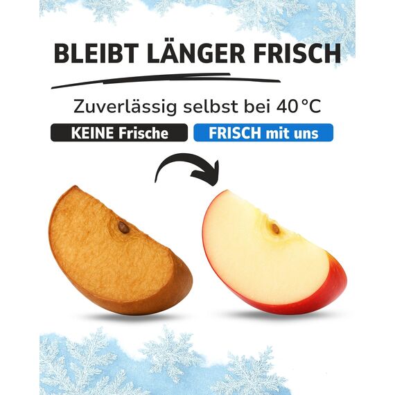 ToCi Kühlakkus Set 4X je 200 ml – Kompakte Kühlelemente für Kühltasche & Kühlbox | Wiederverwendbare Eisakkus BPA-frei | Bis zu 12 h Kühlung – EU-Qualität