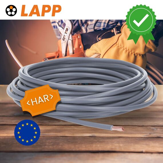 10 Meter Lapp 4520064 H07V-K 6 mm² grau I Verdrahtungsleitung I Aderleitung flexibel I PVC-Einzelader I Litze 6mm2 I Verdrahtung