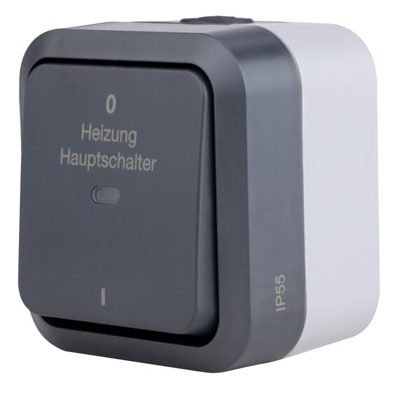REV AquaStorm, Heizungs-Hauptschalter Feuchtraum IP55, zweipolig, Aufputz, 230V, 10A, anthrazit