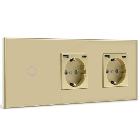 BSEED Touch Lichtschalter mit USB Steckdose Anschluss (Max. 2.1A) Typ C Port 1 Fach 1 Weg Wandschalter mit doppelten Steckdosen Unterputz Touchscreen-schalter mit Glasrahmen 228mm Golden