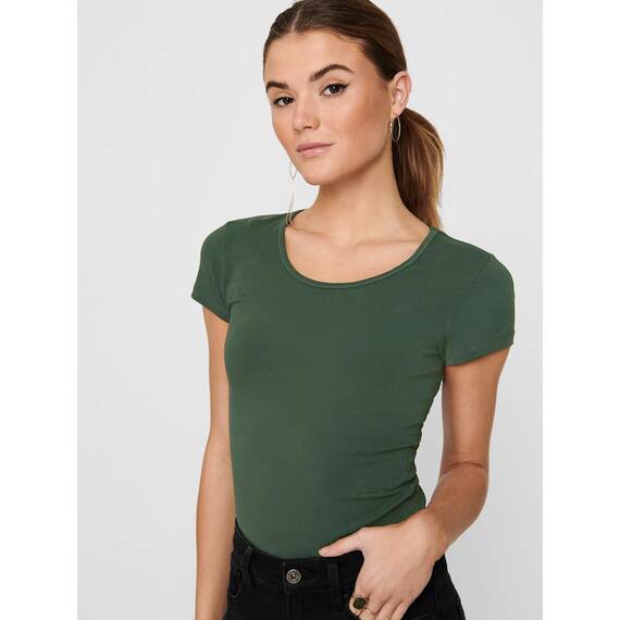 ONLY Damen Onllive Love SS Oneck TOP JRS, Spiced Apple/Thyme/Plum Kitten, XXL