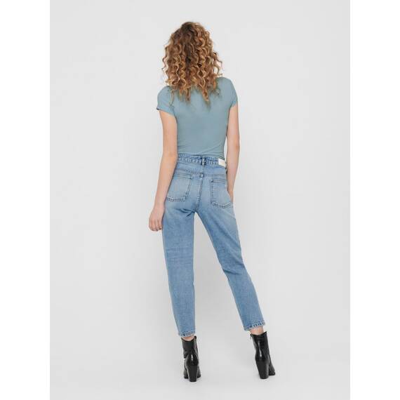 ONLY Damen Onllive Love SS Oneck TOP JRS, Birch/Arona/Mineral red/Hedge, S