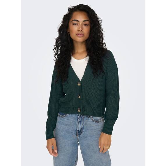 ONLY Onlcarol Nice L/S Cardigan KNT Noos
