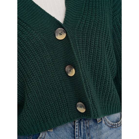 ONLY Onlcarol Nice L/S Cardigan KNT Noos