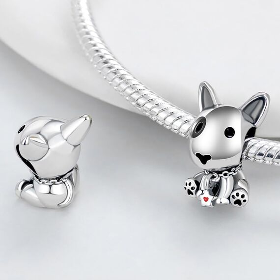 HappyStar Silber 925 Charms Anhänger für Armbänder, Combination Dangle Anhänger Bead Charms für Damen Kompatibel mit Pandora Europäischen Armbändern und Halskette （Mit Spacer Beads