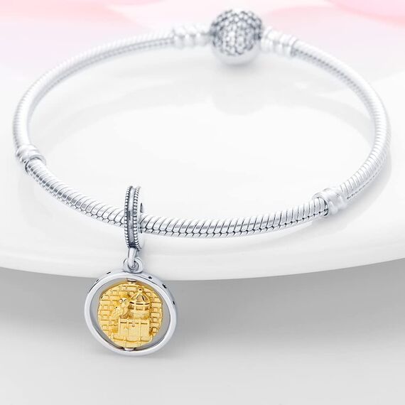 HappyStar Silber 925 Charms Anhänger für Armbänder, Combination Dangle Anhänger Bead Charms für Damen Kompatibel mit Pandora Europäischen Armbändern und Halskette （Mit Spacer Beads