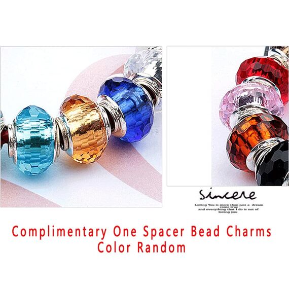 HappyStar Silber 925 Charms Anhänger für Armbänder, Combination Dangle Anhänger Bead Charms für Damen Kompatibel mit Pandora Europäischen Armbändern und Halskette （Mit Spacer Beads
